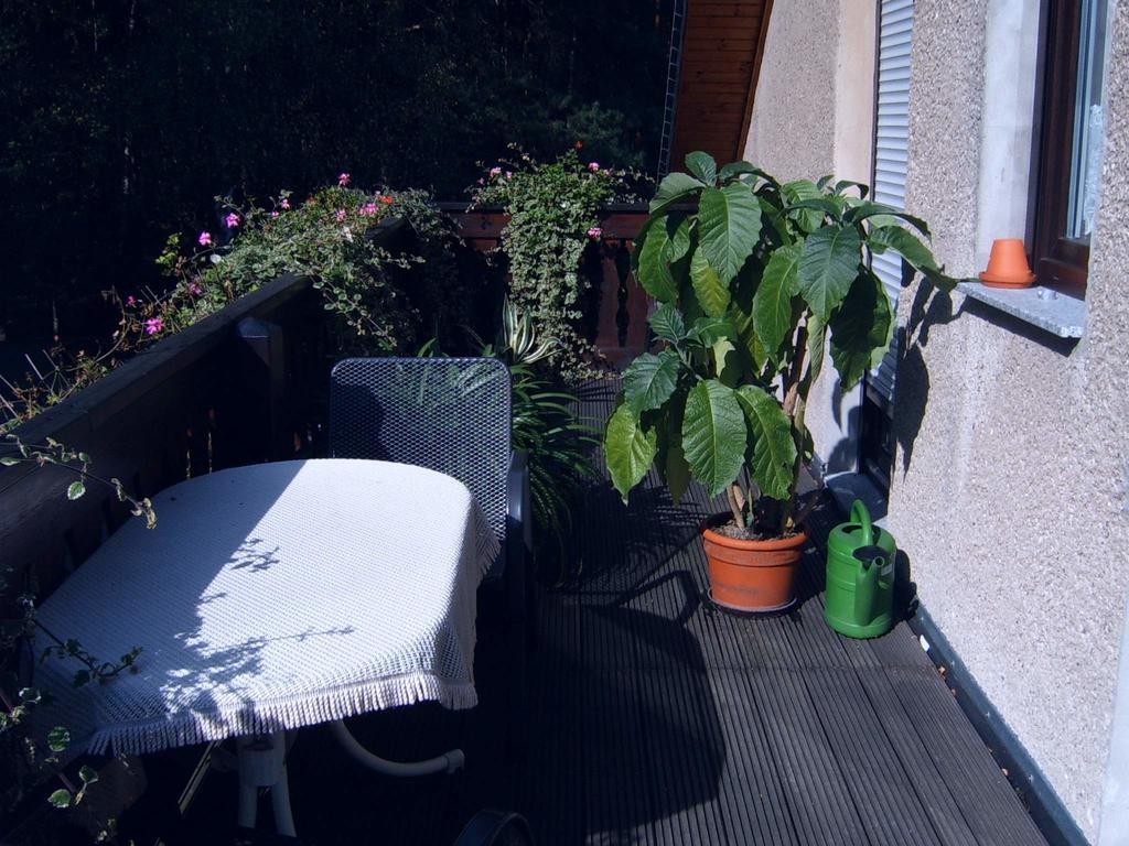 Ferienwohnung Guerth Kleinhennersdorf Екстериор снимка