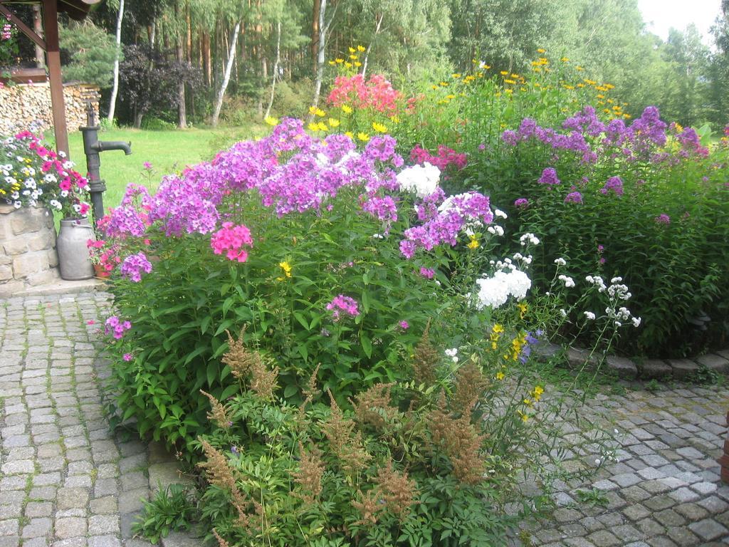 Ferienwohnung Guerth Kleinhennersdorf Екстериор снимка