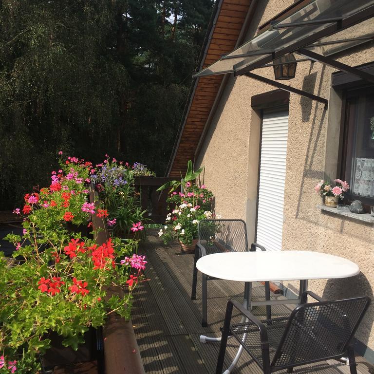 Ferienwohnung Guerth Kleinhennersdorf Екстериор снимка
